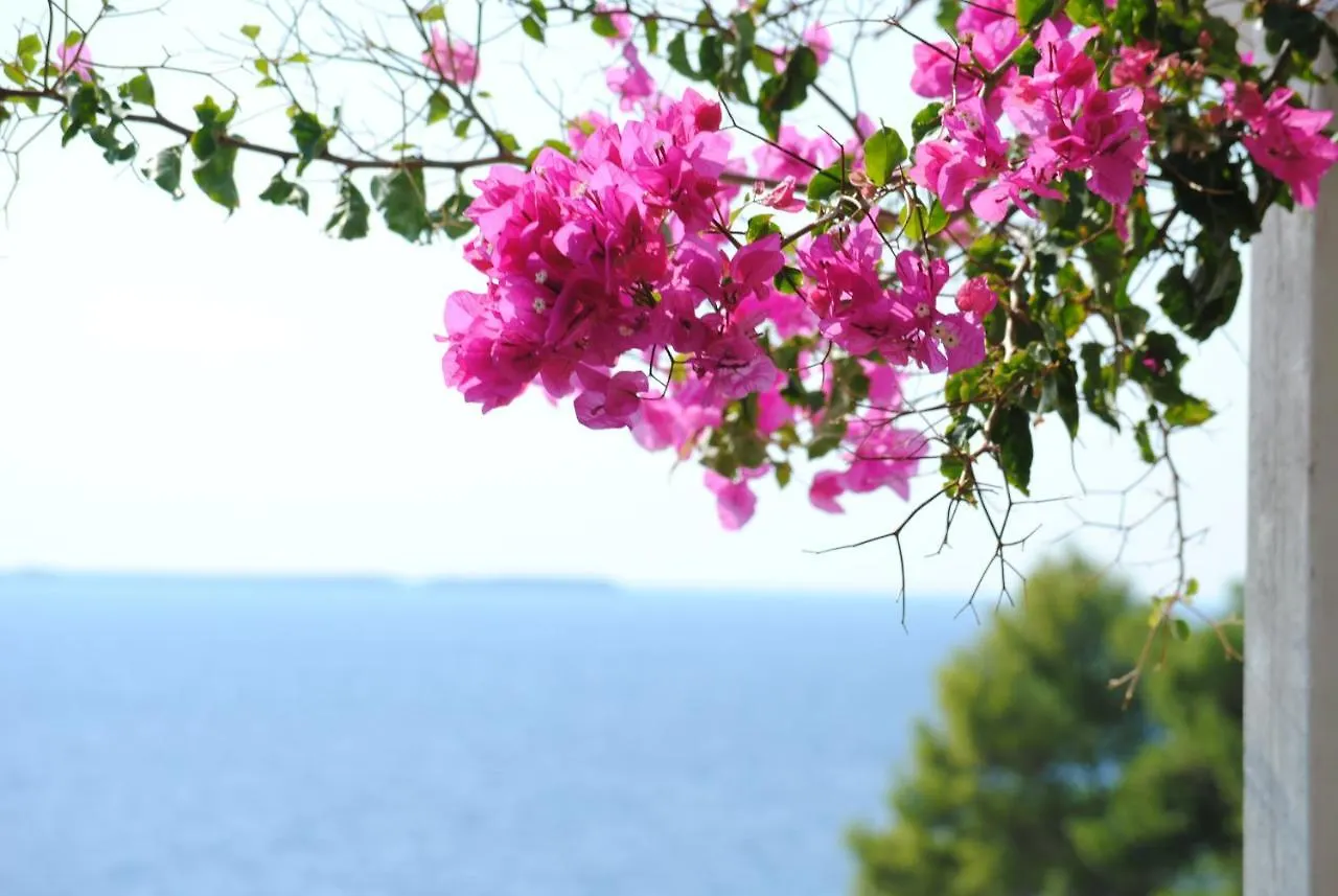Stavento Apartments Argostoli