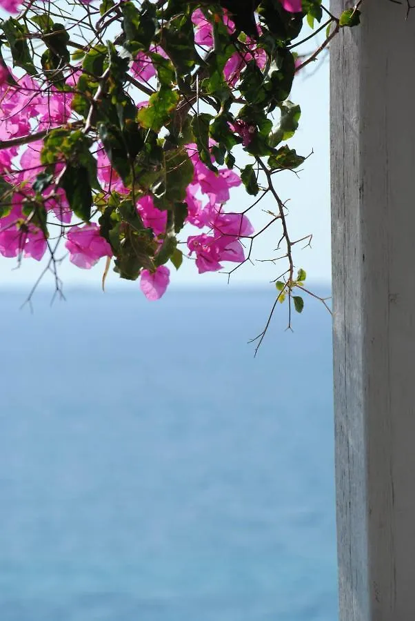 Stavento Apartments Argostoli